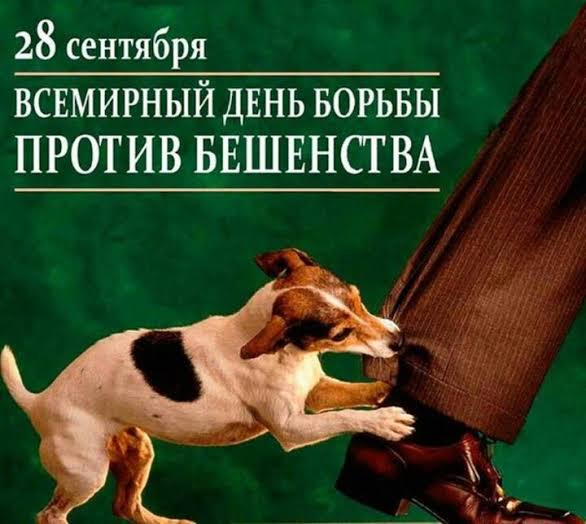 Всемирный день борьбы против бешенства